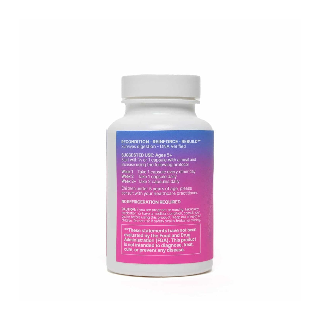 MegaSporeBiotic