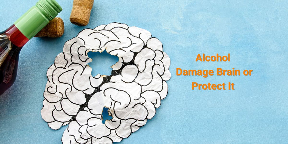 Alcohol: Damage Brain or Protect It?