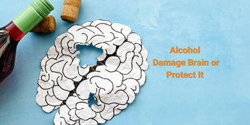 Alcohol: Damage Brain or Protect It?