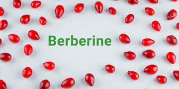Berberine- A Magical Supplement With Many Benefits