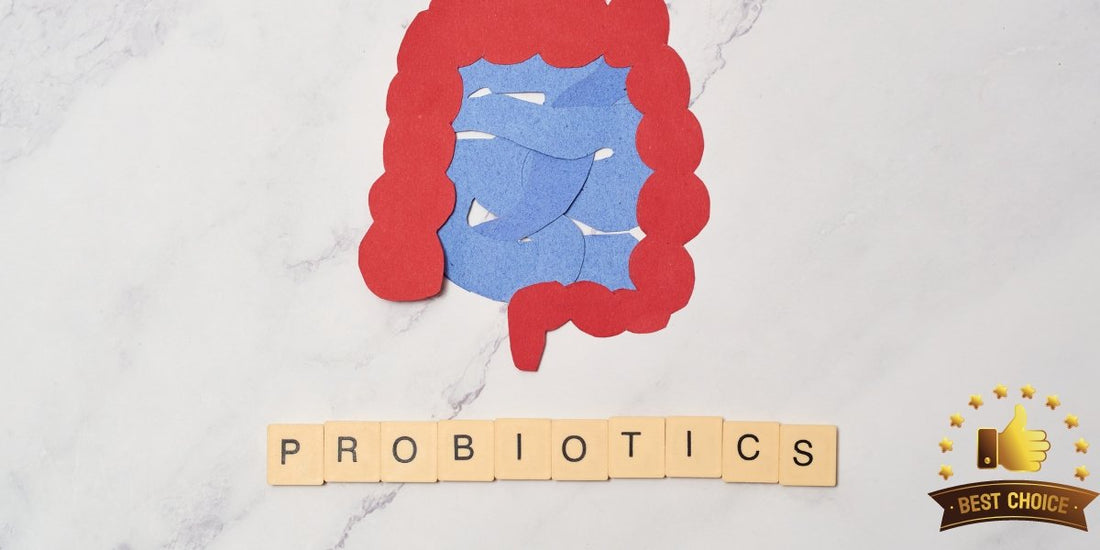 Best Probiotic Supplementation For Gut Health In 2023
