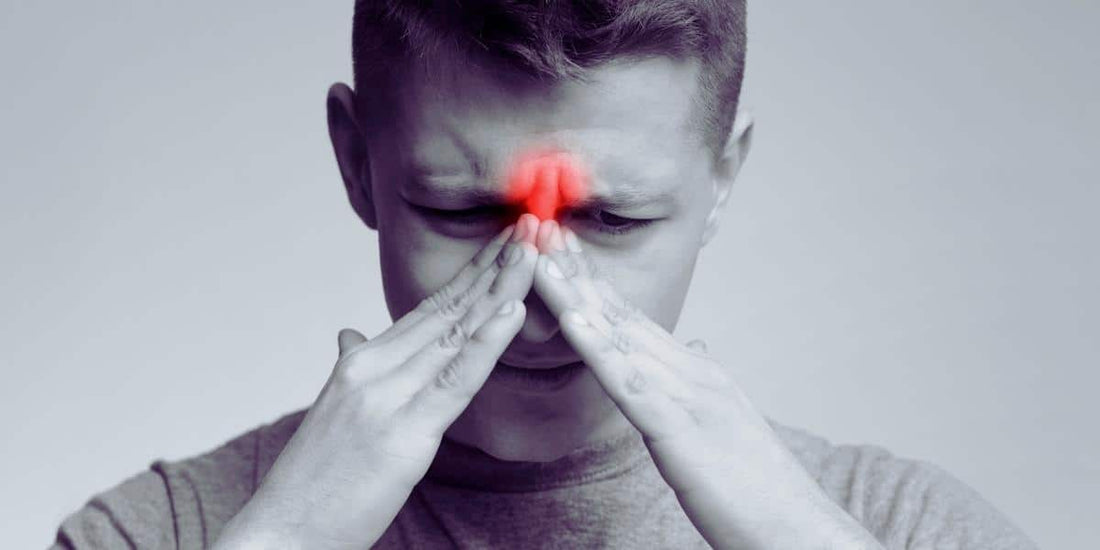 Best Supplement That Supports Sinus and Respiratory Health