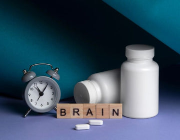 Brain And Memory Supplements For Focus And Clarity