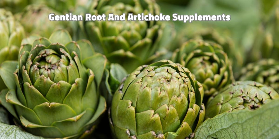 Gentian Root And Artichoke Supplements: Health Benefits, Side Effects, Uses, Doses &amp; Precaution