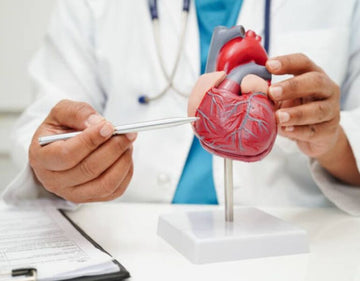 Top-Rated Heart Health Supplements For Blood Pressure And Energy 