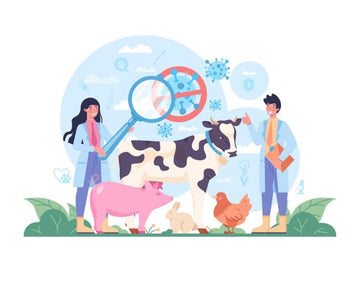Low Dose Naltrexone in veterinary medicine Cover
