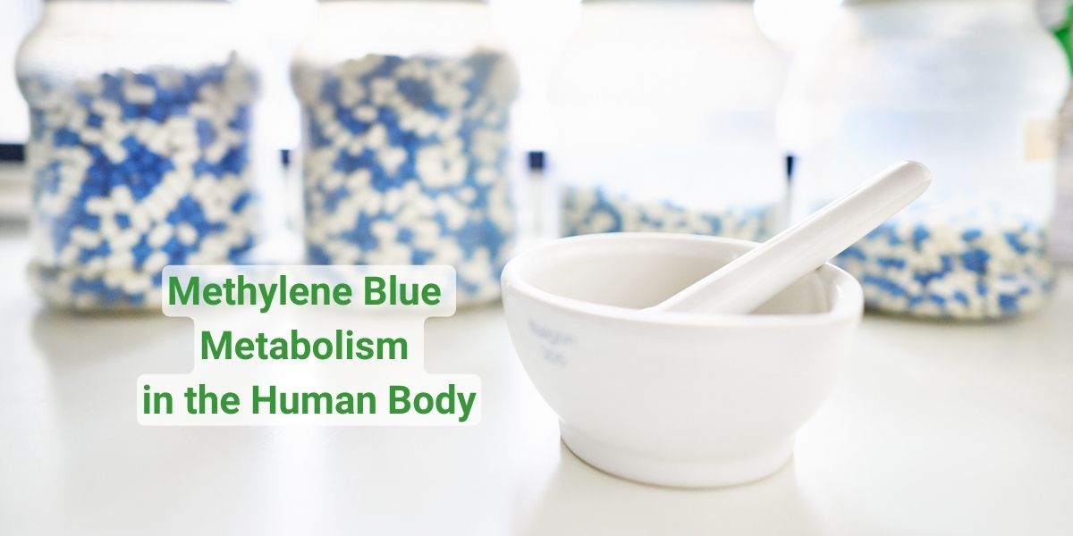 Unraveling the Science: Methylene Blue Metabolism in the Human Body Welltopia Pharmacy Unraveling the Science: Methylene Blue Metabolism in the Human Body Welltopia Pharmacy