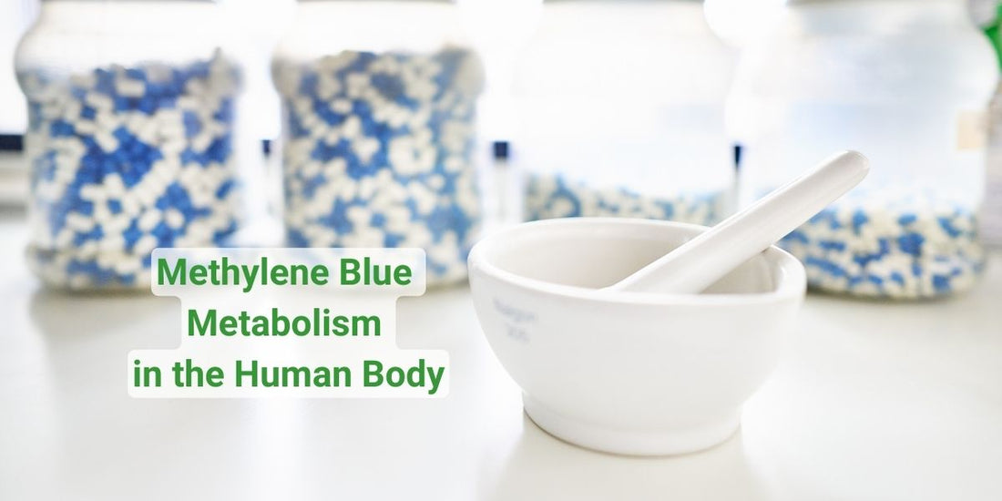 Unraveling the Science: Methylene Blue Metabolism in the Human Body