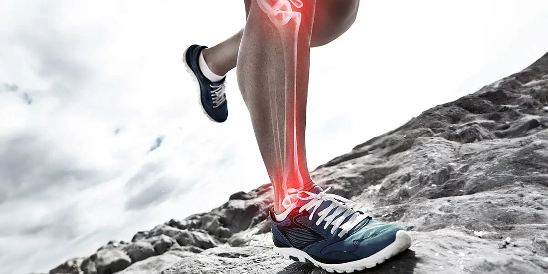 Omega-3s for Joint Health: Key Insights & Benefits