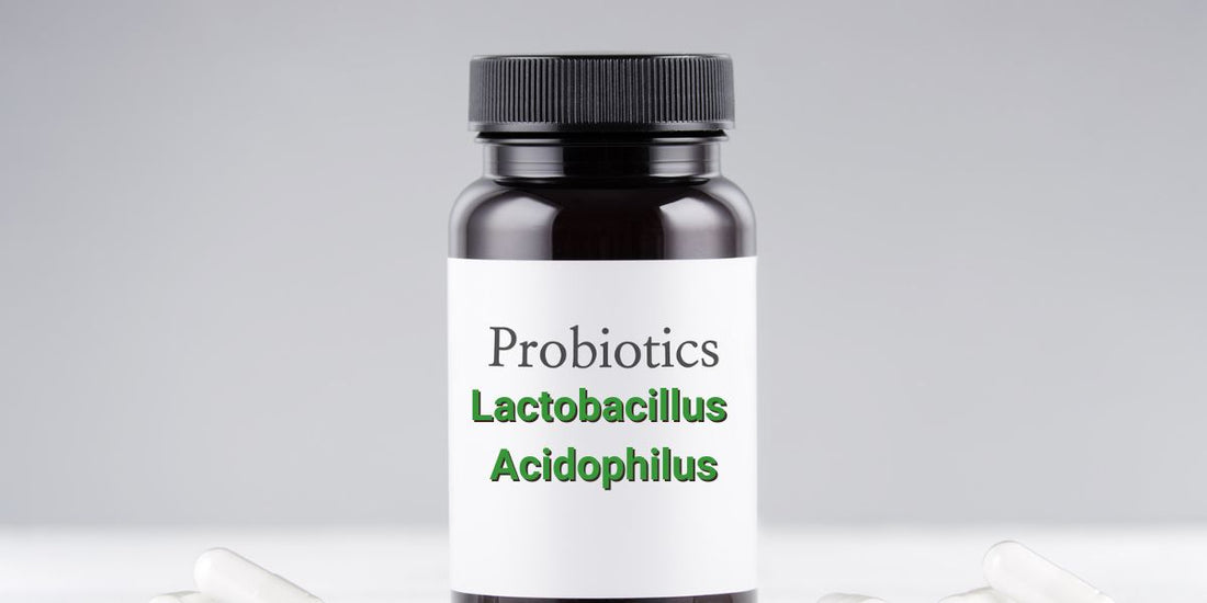 Overview of Lactobacillus Acidophilus