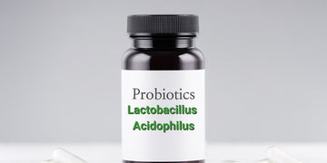 Overview of Lactobacillus Acidophilus
