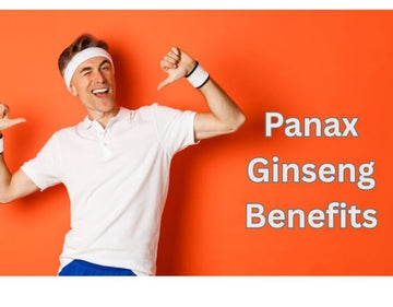 Panax Ginseng Benefits | Energy, Stamina & Focus