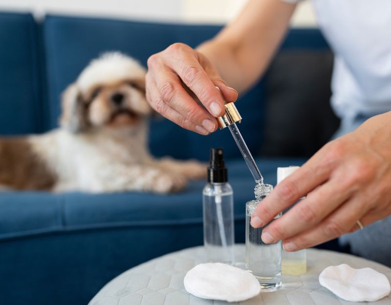 Pet Allergy Treatments
