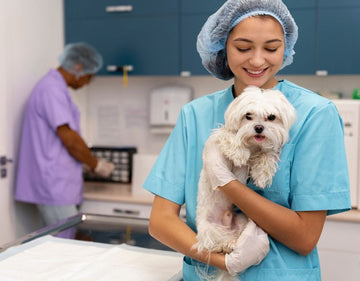 Pet Cancer Treatments Cover