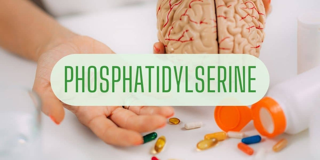 Phosphatidylserine Benefits, Uses, Side Effects, and More