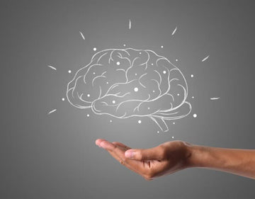 RG3 Ginsenoside Benefits | Brain & Focus Boost