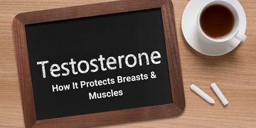 Understanding Testosterone: How It Protects Breasts & Muscles.