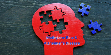 Unlocking the Synergistic Potential of Methylene Blue for Alzheimer's Disease