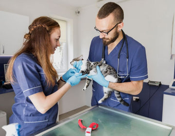 Veterinary Compounding Services Cover