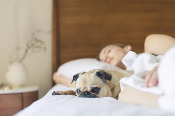 When Was the Last Time You Had Good Sleep?