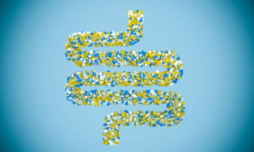 Gut Bacteria Play a Role in Cancer Tumor Development