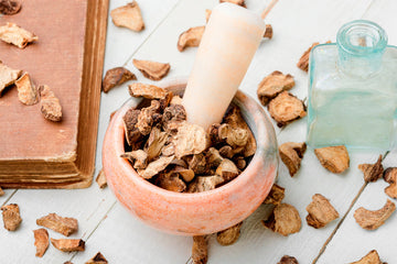 Siberian Ginseng Uses | Immunity & Gentle Energy