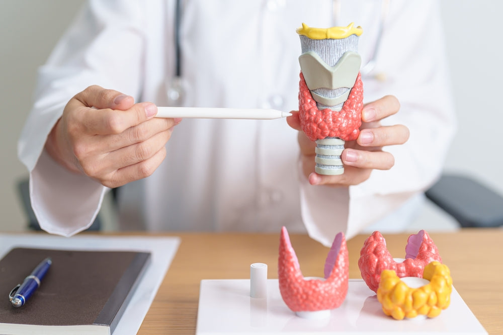 Best Diet For Thyroid Health | Foods To Eat And Foods To Avoid