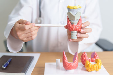Best Diet For Thyroid Health | Foods To Eat And Foods To Avoid