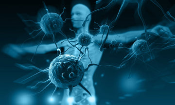 Boost Your Immune System