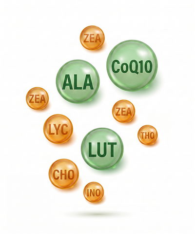 Functional Nutrients & Antioxidants