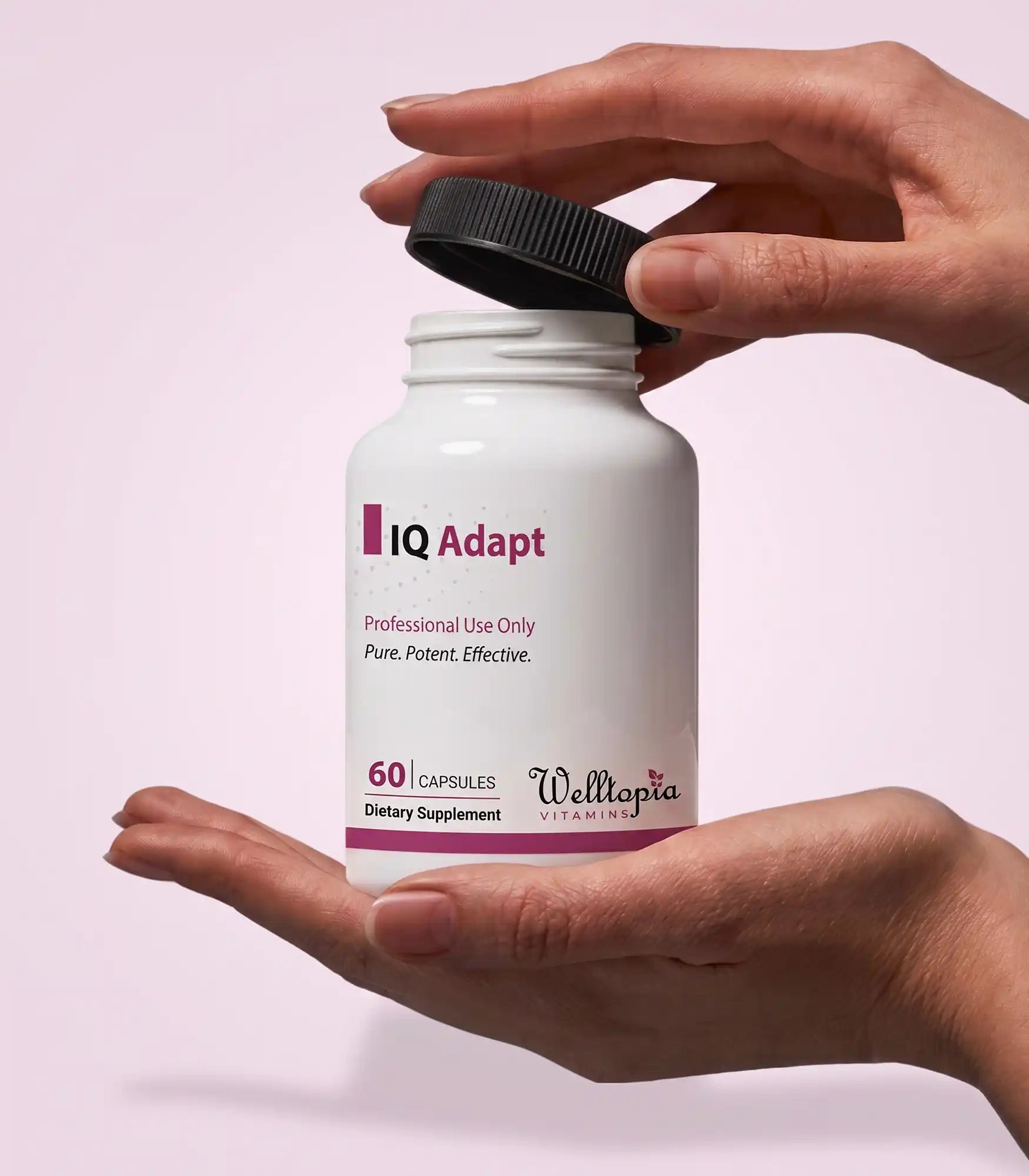 IQ Adapt
