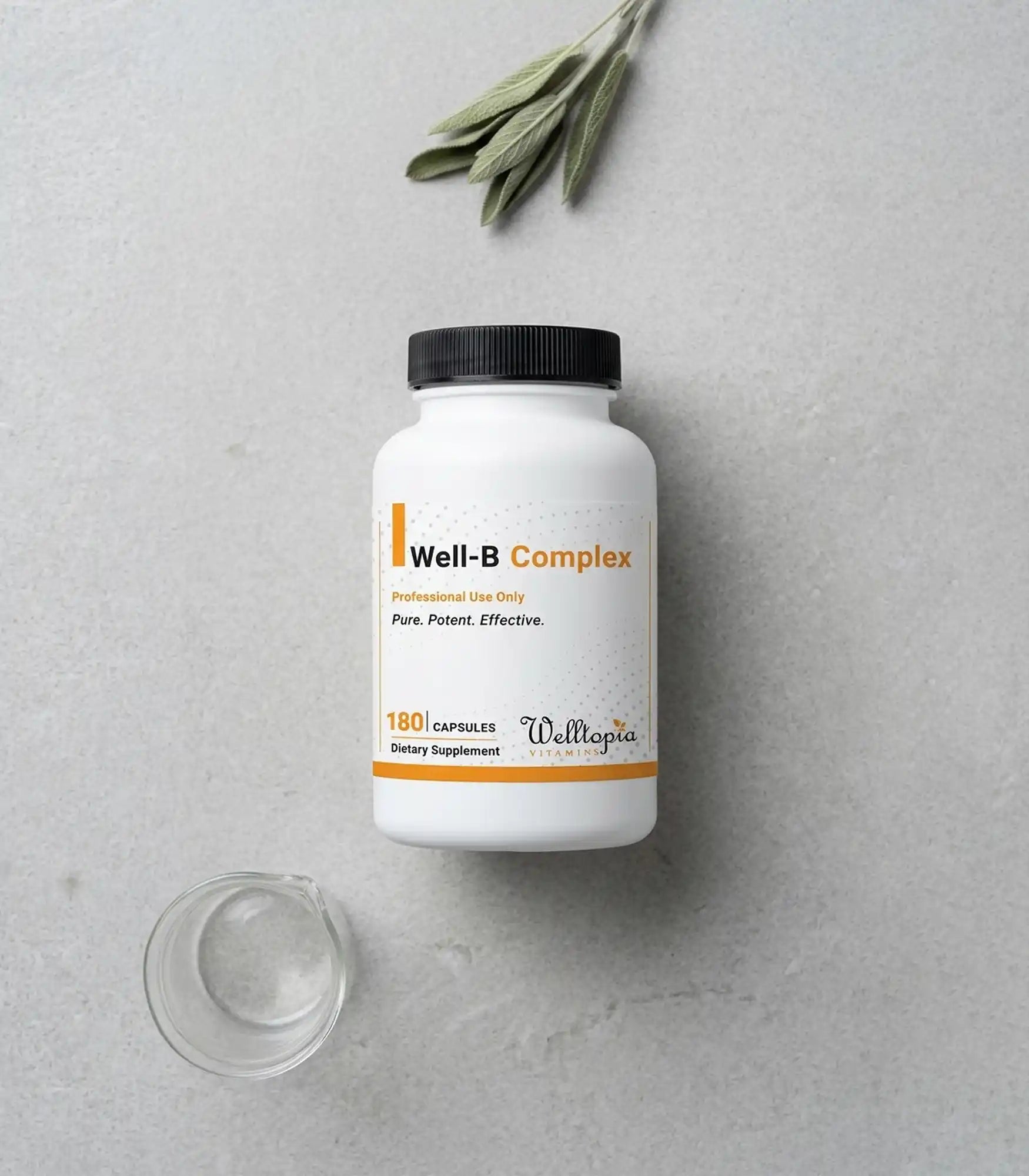 Well-B Complex