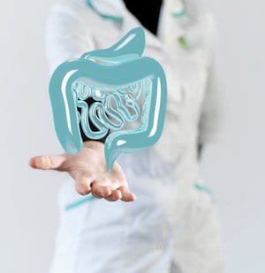 gi