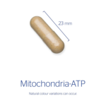 Mitochondria-ATP 120 vegcaps