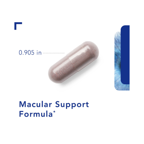 Macular Support Formula