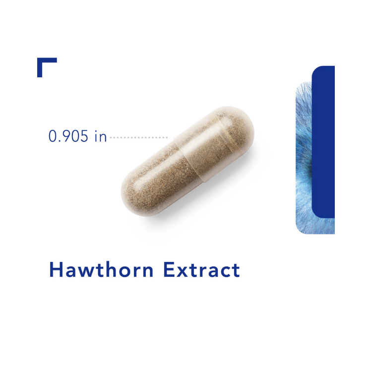 Hawthorn extract 120 vegcaps