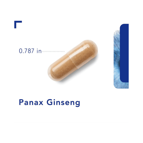 Panax Ginseng 250 mg 120 vegcaps