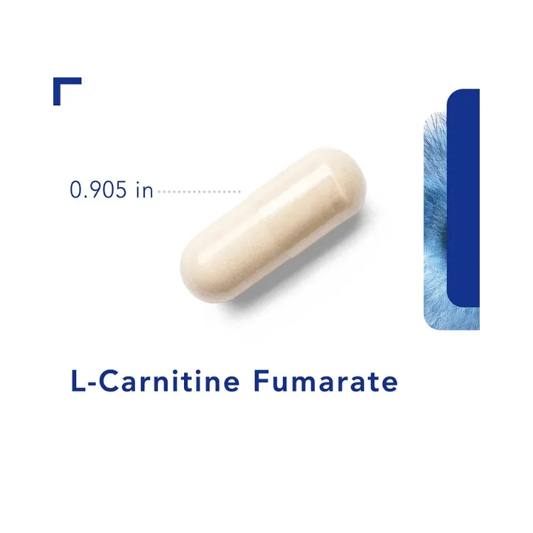 L-Carnitine Fumarate