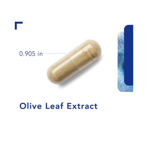 Olive Leaf extract 60 vegcaps