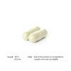 Boswellia Phytosome 60 vegcaps