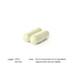 Boswellia Phytosome 60 vegcaps