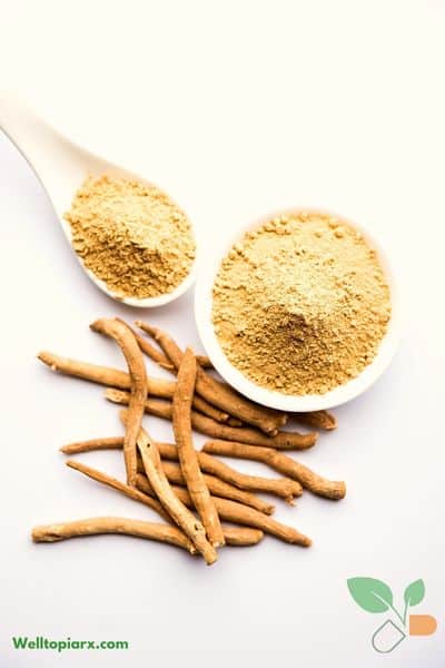 Ashwagandha Supplement Benefits Side Effects Usage Dosage