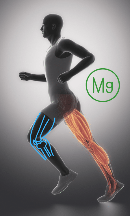 Magnesium for bone and muscles