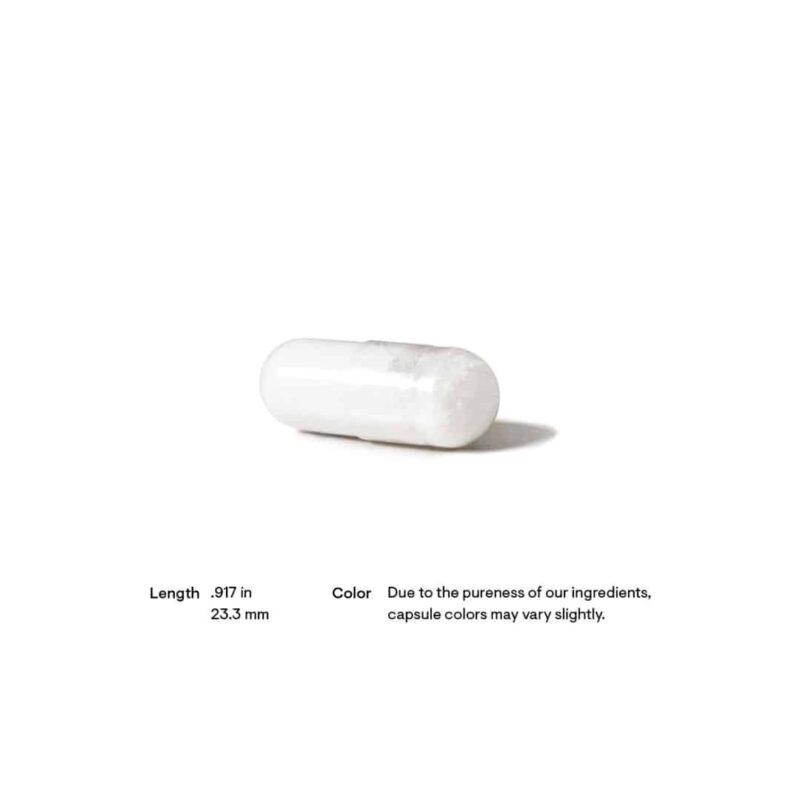 Acetyl-L-Carnitine capsule size