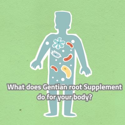 What does Gentian root Supplement do for your body