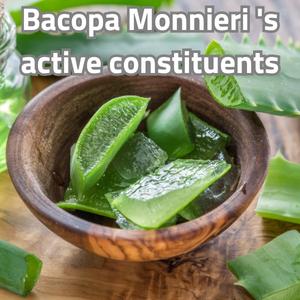 Bacopa Monnieri s active constituents