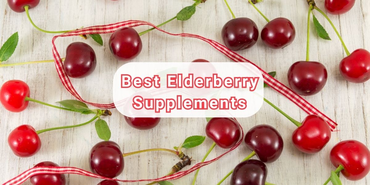 Boost Your Immune System with the Best Elderberry Supplements