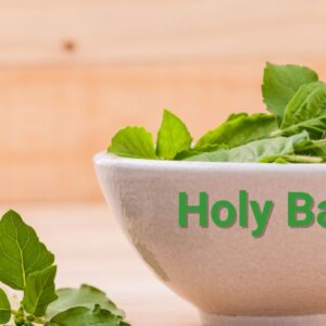 Holy Basil Supplement: Health Benefits, Uses, Dosage, Side Effects, and Interactions