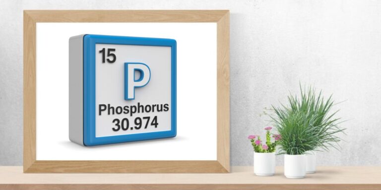 Phosphorus: Benefits, Uses, Side effects And Dosage & More
