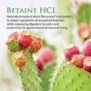 Betaine HCL 120 Capsules - Image 4